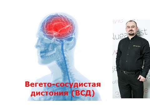 Autonomic innervation of the heart and blood vessels. Vegetative-vascular dystonia. Hypotension.