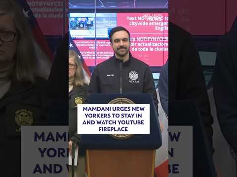 Mamdani: "turn on that crackling fireplace YouTube video."