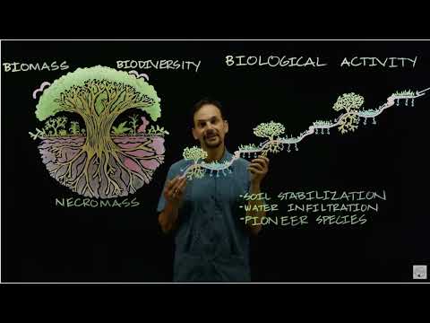 Эндрю Миллисон   энергичный рассказчик о мудрости пермакультуры