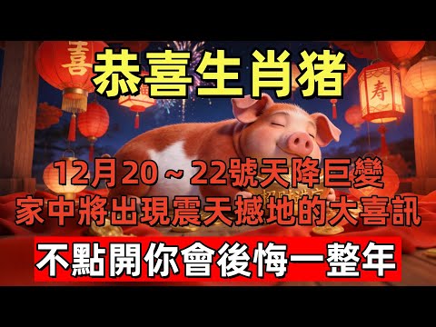 恭喜生肖猪！12月20～22號天降巨變！家中將出現“震天撼地”的大喜訊！屬猪人務必接住這波橫財，不點開你會後悔一整年！#玄运生肖#屬相運勢#生肖#家運#手寫#生肖運勢的那些事#先知#風水變化#提升運勢