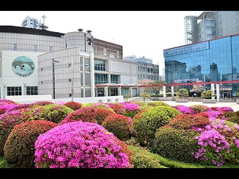 [경향교회] 주일학교예배실황 2020-05-17