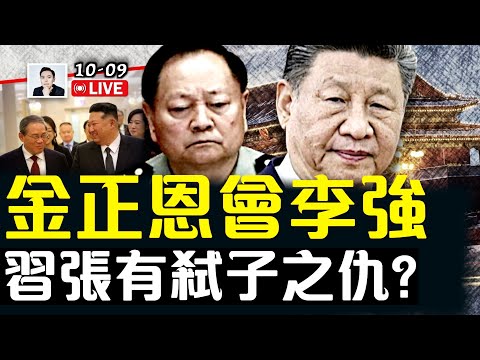 習再傳中風，李強人在朝鮮！習近平連干倒張又俠兩位親人？！四中全會前，北京暗潮洶湧｜大宇拍案驚奇 live！