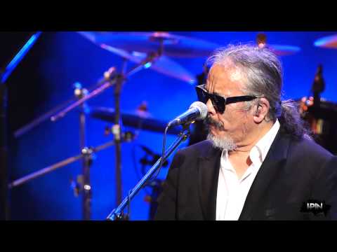 들국화 - 사랑한후에 + 그것만이 내세상 @ 20130615 파크 콘서트