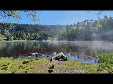 Byfjellene i Bergen er perfekte en solskinnsdag!