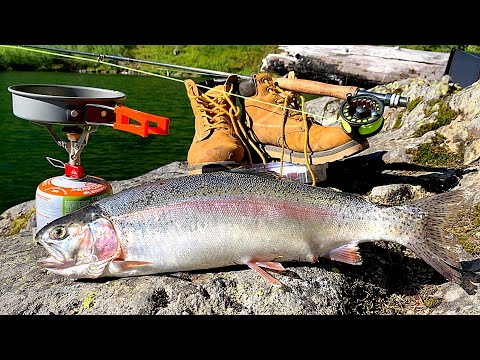 MONSTER Trout Catch & Cook!!! 48h SURVIVAL in the Mountains! (AquaView Fishing)