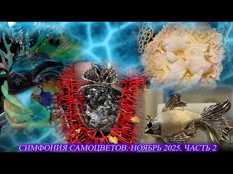 Ювелирный фестиваль "Симфония самоцветов". Амбер Плаза. Москва. Ноябрь 2025. ч. 2