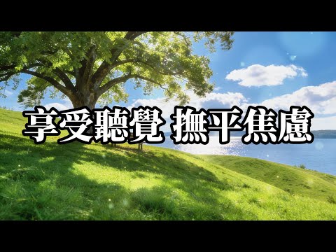 享受聽覺 溫潤的聲景為你的思緒鋪上一層柔光，完美隔絕外界紛擾，讓你專注而平靜地進入冥想、閱讀或高效工作狀態