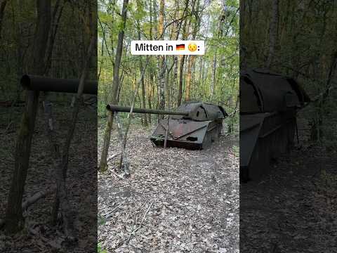 Ich Finde PANZER mitten im WALD?! 😳🇩🇪