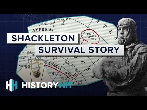 How Did Shackleton Survive The Endurance Expedition?