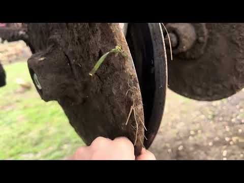 Посів у вологий ґрунт восени | Як сіяти сівалкою Сзд 4.2