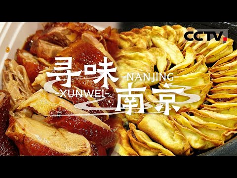 盐水鸭 牛肉锅贴 皮肚面 来游秦淮河时 一定要尝南京的这些美食！——寻味南京【CCTV纪录】