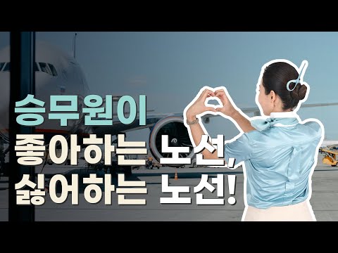 승무원이 싫어하는 노선 좋아하는 노선 1편