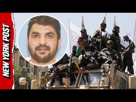 New TWIST in DC National Guard Terrorist Investigation: Was the Shooter Blackmailed by the Taliban?