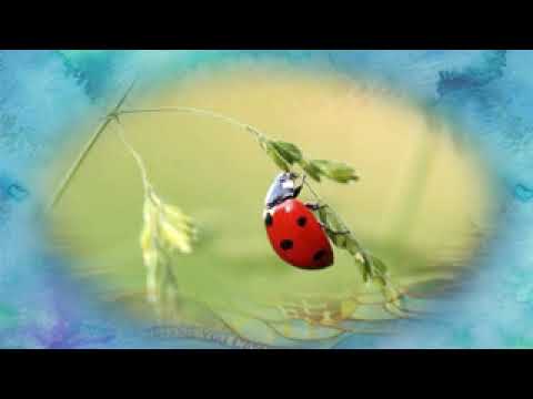 The unknown is a concept............. Rupert Spira