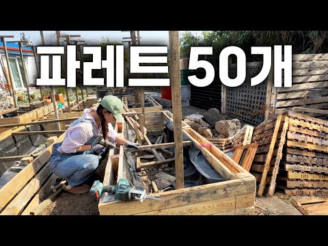 50 wood pallets in 50 days, a woman who makes a garden at a crazy low price | Country Life in Korea