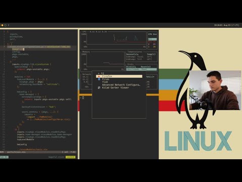 My Linux Setup for Work and Life - NixOS, Niri, Helix