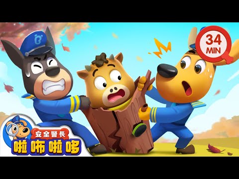 【新劇集】枯樹怪 | 不要鑽狹小縫隙 | 寶寶好習慣 | 動畫 | 卡通 | 安全警長啦咘啦哆