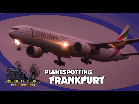 Planespotting Frankfurt Airport | December 2025 | Part 1