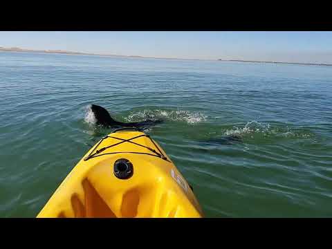 Kayaking - Walvis Bay, Namibia