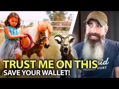 Five Worthless Homestead Animals Wasting Your Time