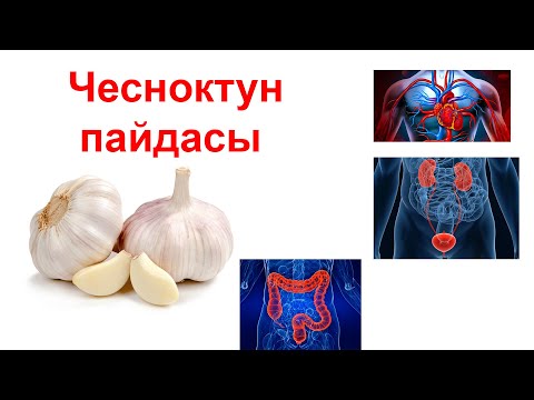 Чесноктун сиз билбеген пайдалары