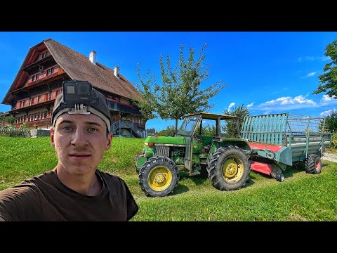 Везу молодих корів Brown Swiss до друга шефа у Швейцарії, заготовляємо сіно