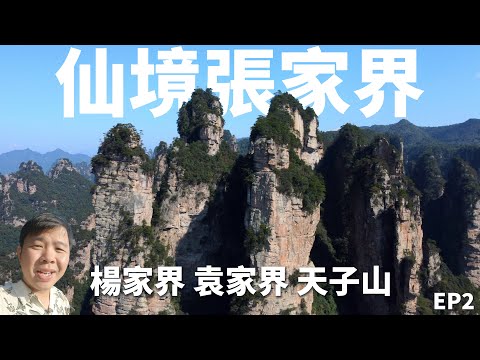 袁家界、楊家界、天子山全紀錄,外國遊客最多的中國山區,4天3晚探秘湖南張家界丨EP2 Explore Pandora Mountain Zhangjiajie Scenery China 4K