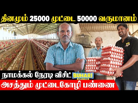 நாமக்கல் முட்டைகோழிப்பண்ணையின் தினசரி வருமானம்? | Egg Farm business |Buhari Junction #Egg #business