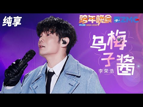 【纯享版】李荣浩《乌梅子酱》2024-2025浙江卫视跨年晚会 20241231