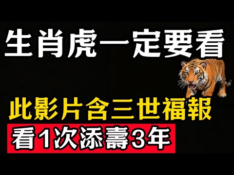 生肖虎人一定要看,此影片含三世福報,看1次添壽3年!#張天師道法#屬相運勢#生肖#家運#生肖運勢的那些事#先知#風水變化#提升運勢
