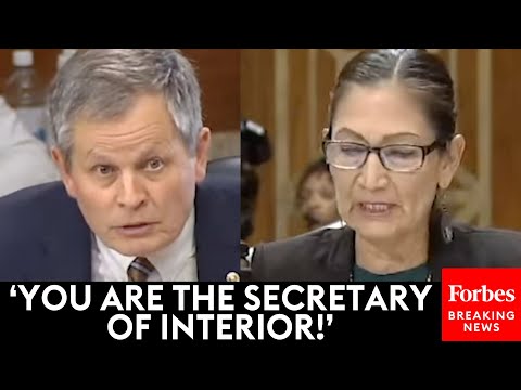 'You're In The Line Of Succession!': Daines Absolutely Stunned By Haaland's Inability To Answer