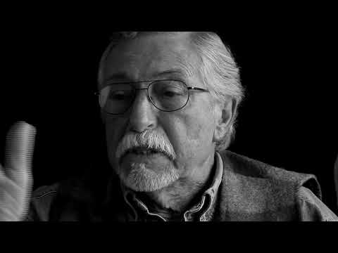 Dennis Stock - The Articulate Image