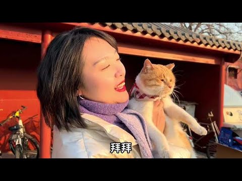 太可爱了！故宫猫咪看到自己猫粮被抢走，气到浑身发抖。