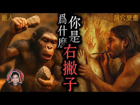 【為什麼你是右撇子的真相】我們從古人類的化石和洞穴壁畫開始講起，內容涉及右撇子的起源和影響、腦側化假說、搏斗/战斗假說，以及左撇子相较于右撇子的獨特優勢