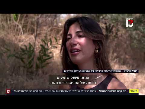 "סיבוב המוות": מה קרה בצומת מפלסים ב-7 באוקטובר?