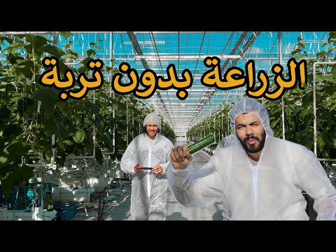 I fascinated by the future of agriculture in Europe They grow without soil- peasants from the future