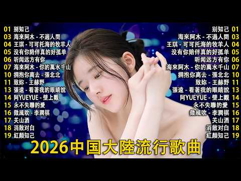 大陸流行歌曲【無廣告】2026好听的抒情歌|适合深夜一个人听 🎧 Top Chinese Songs