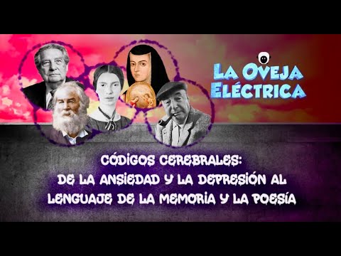 La oveja eléctrica. Códigos cerebrales: de la ansiedad y la depresión al lenguaje de la memoria