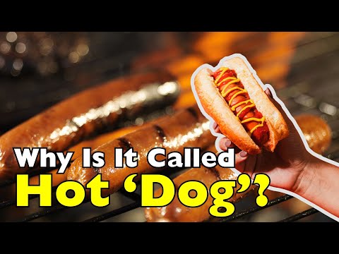 Why Is It Called a 'Hot Dog'?