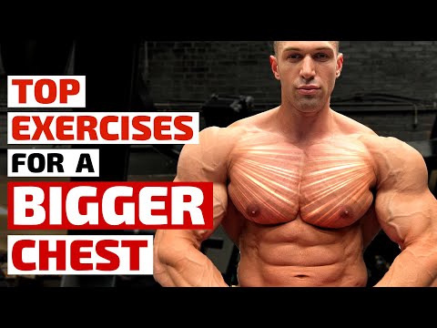 Top Trainers Agree, These Are the Best Exercises for Building a Bigger Chest