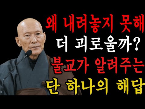 왜 내려놓지 못해 더 괴로울까? 불교가 알려주는 단 하나의 해답 | 법정 스님 지혜 | 불교 | 인생명언