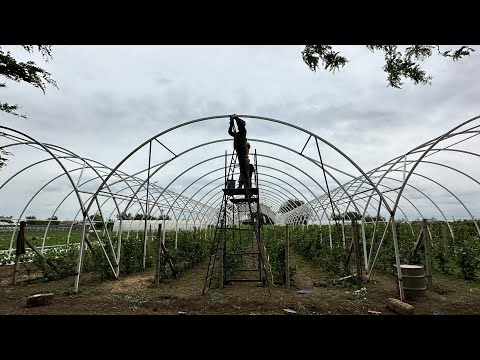 Блочная теплица под кустарники