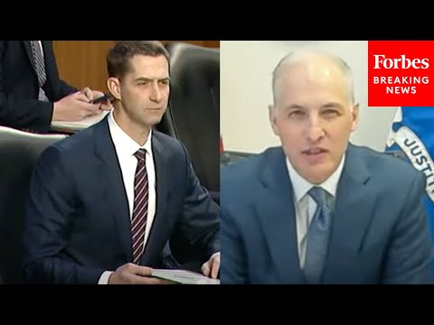 Cotton To Top FBI Official: 'Did The DOJ Or FBI Have Any Plainclothes Officers' In Capitol On Jan 6?