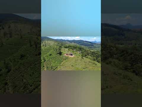 “Beautiful aerial views captured by my drone — see the world from a stunning new perspective.”