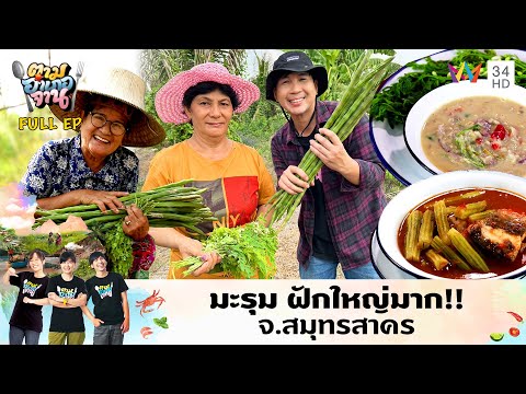 มะรุม ฝักใหญ่มาก !! จ.สมุทรสาคร | ตามอำเภอจาน | 16 เม.ย.67 Full EP