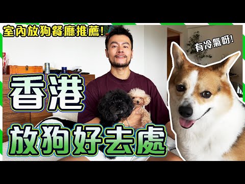 🐶【 狗主必看】✨南區放狗嘆世界‼️🐶🐕😎毛孩奔跑 + 主人Chill爆私藏靚位‼️Poodle | Corgi | Hong Kong Dog Vlog | Calix & Chari