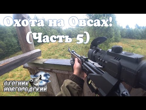 Охота на Овсах! (часть 5)