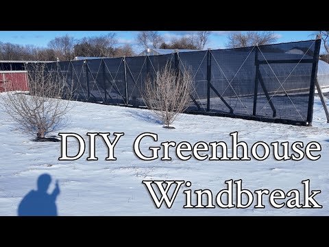 DIY Greenhouse Windbreak - How and Why?