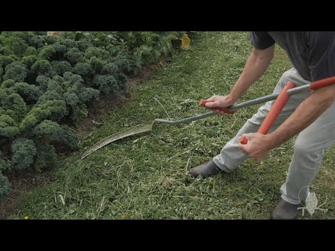 Scything the aftermath: overarm style