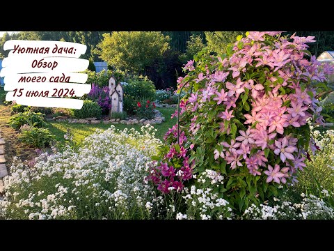 Уютная дача: Обзор моего сада 15 июля 2024.